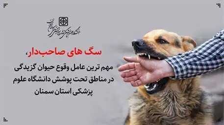 سگ های صاحب دار، مهم ترین عامل وقوع حیوان گزیدگی در مناطق تحت پوشش دانشگاه استان سمنان