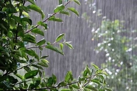 هشدار تشدید بارش ها و خسارت به محصولات کشاورزی در 3 استان کشور