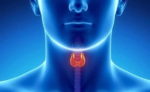 قهوه گانودرما برای کم کاری تیرویید