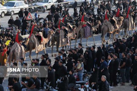 کربلا سرزمین عاشقان و آینه بلند عشق الهی