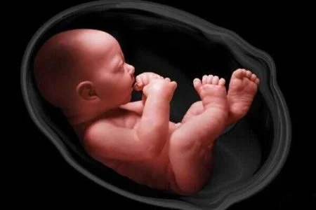 سکسکه جنین چه زمانی خطرناک است؟