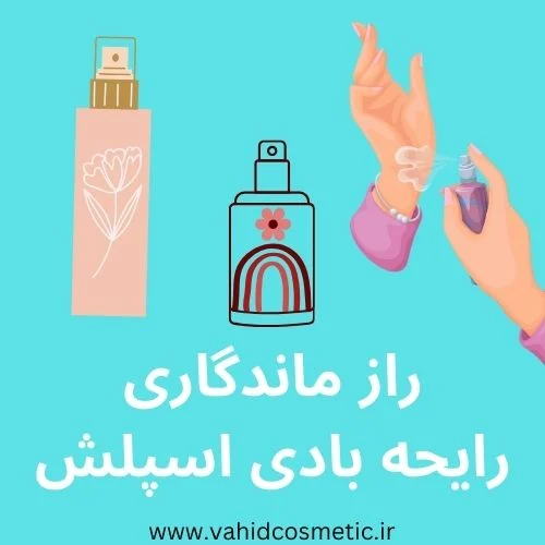همه آنچه باید در مورد بادی اسپلش بدانید