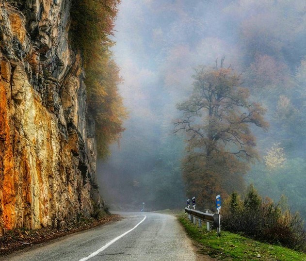 جنگل های رامسر