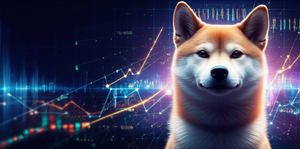 پیش بینی رمز ارز شیبا: آینده، قیمت و تحلیل جامع SHIB ۱۴۰۲
